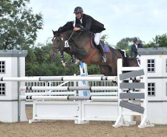 Caravaggio - Showjumping Stallions
